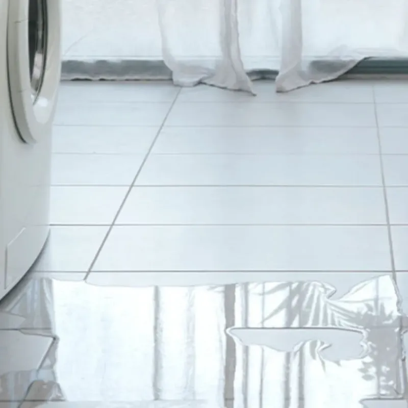 Appliance Leak Cleanup in Winter Garden, FL